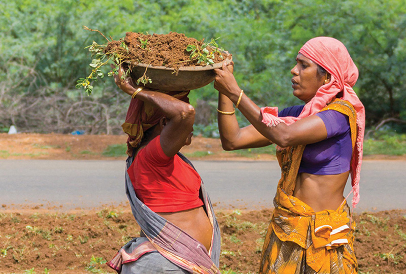 Female Labor